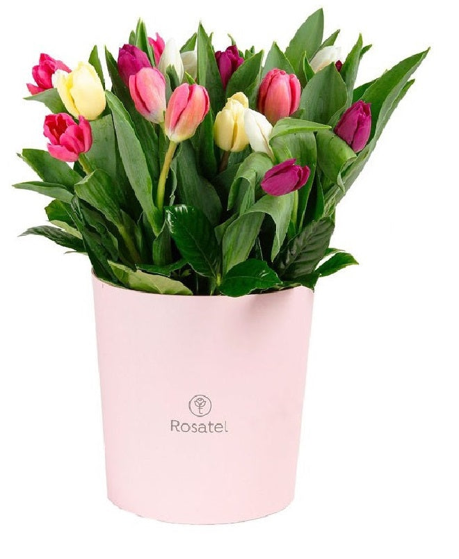 Sombrerera rosada grande 18 tulipanes