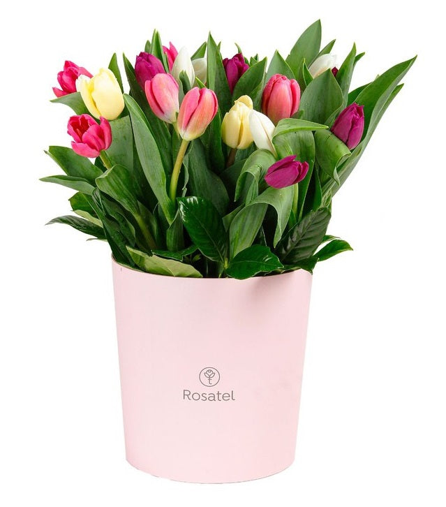 Sombrerera rosada con 24 tulipanes
