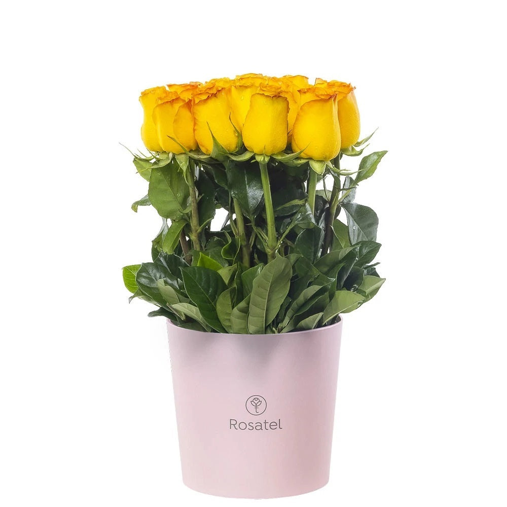 Sombrerera rosada mediana 15 rosas amarillas