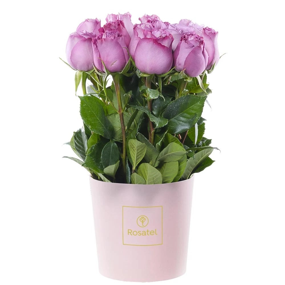 Sombrerera rosada mediana 15 rosas lilas