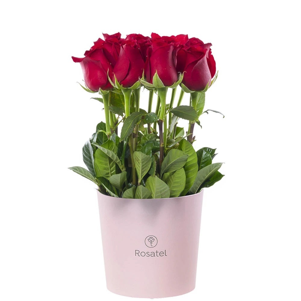 Sombrerera rosada mediana 15 rosas rojas