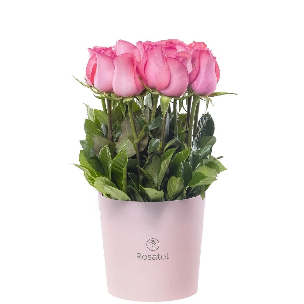 Sombrerera rosada mediana 15 rosas rosadas