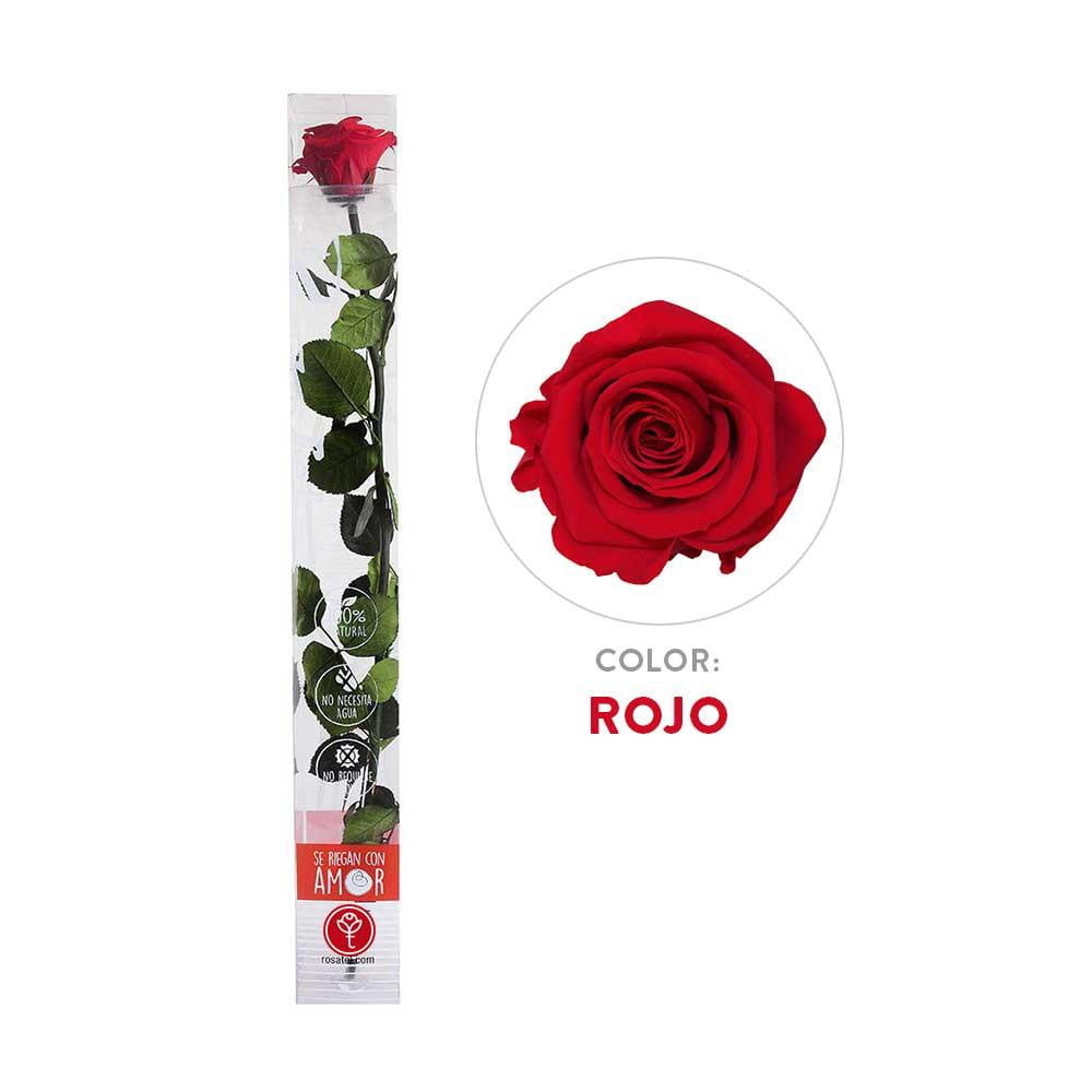 Rosa roja preservada en caja acrilica