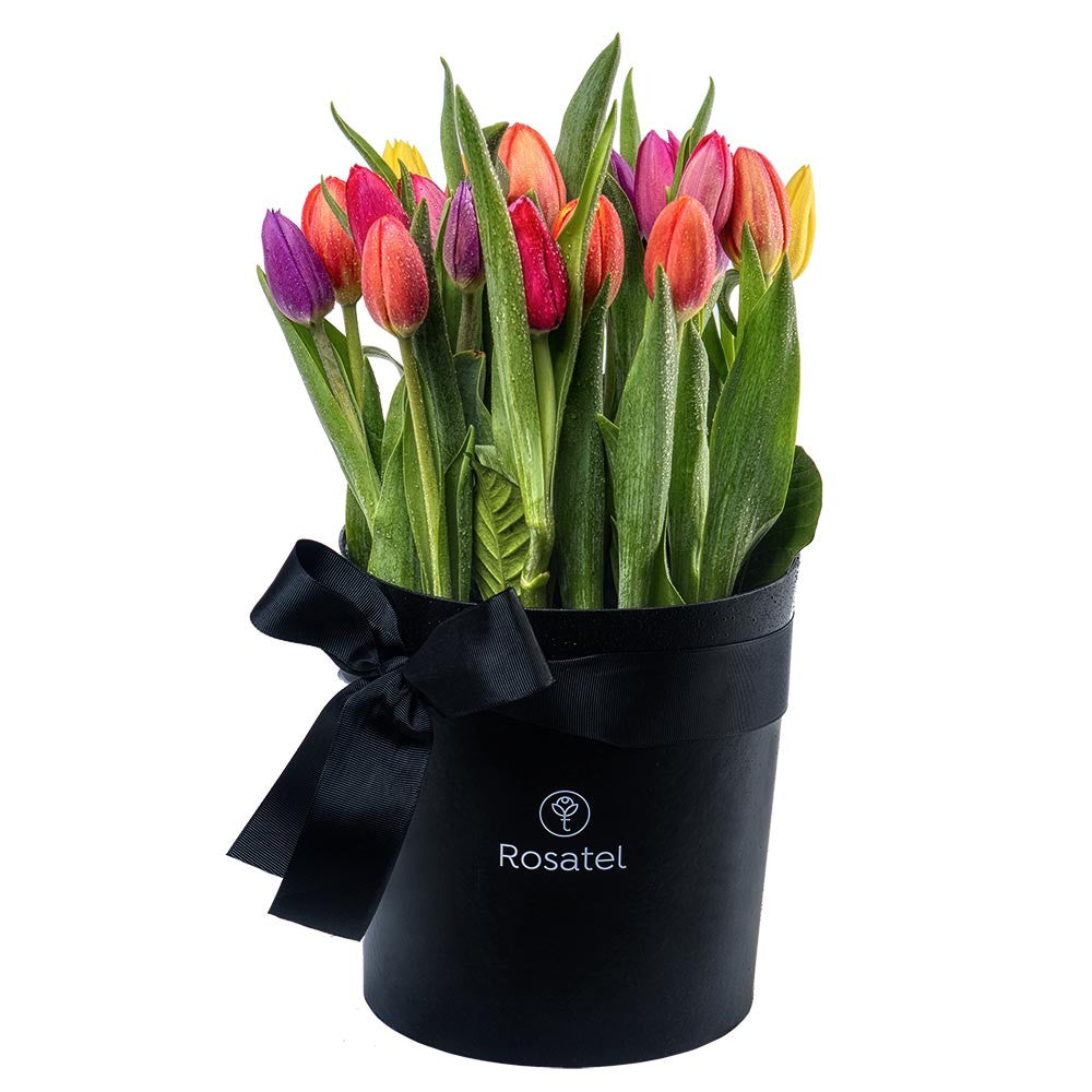 Sombrerera negra con 25 tulipanes variados