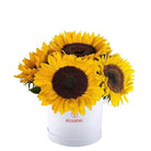 Sombrerera blanca 6 girasoles