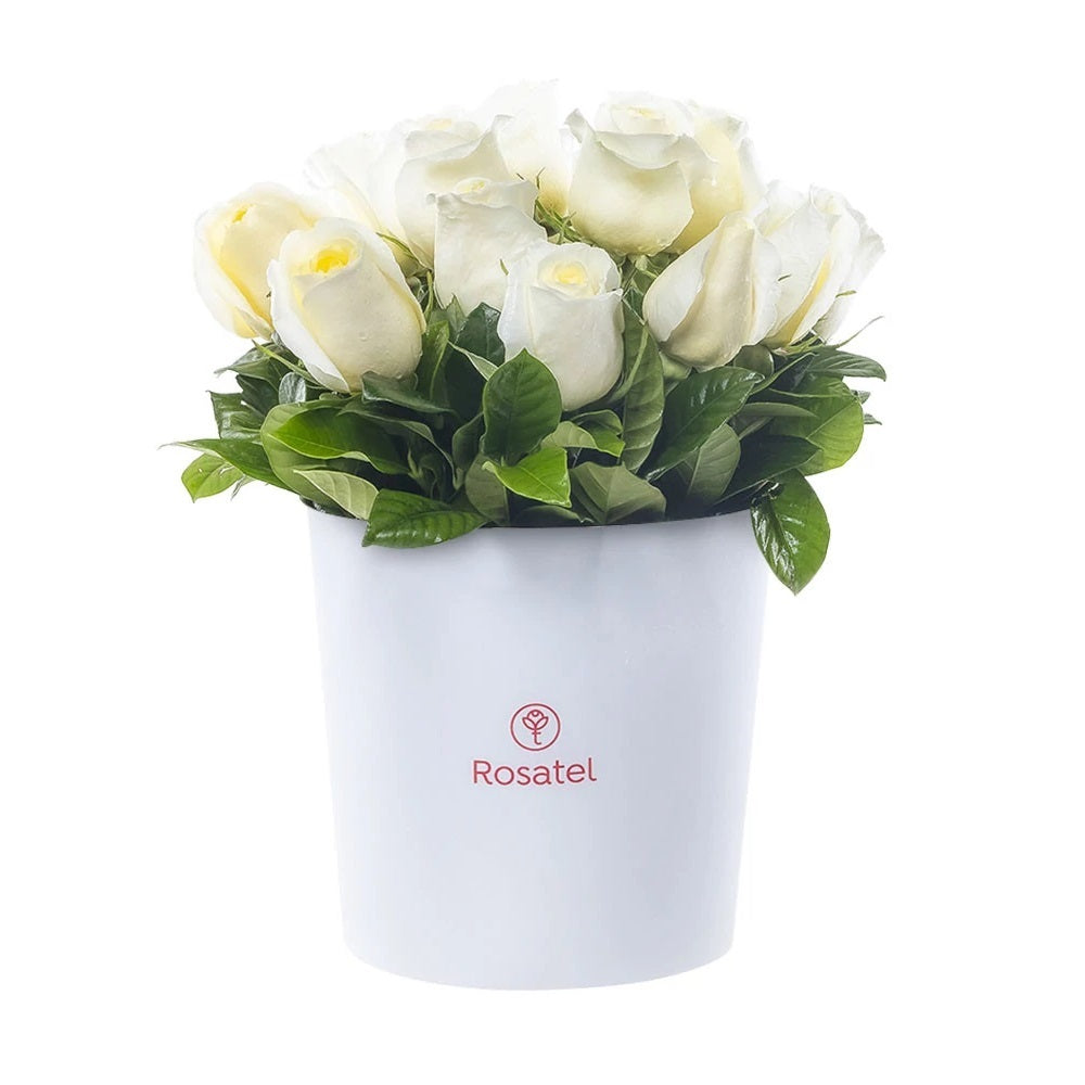 Sombrerera blanca grande 15 rosas blancas