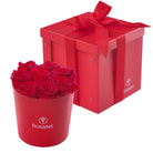 Sombrerera roja mediana 8 rosas preservadas rojas y caja roja
